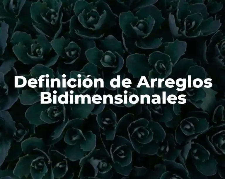 Definición de Arreglos Bidimensionales