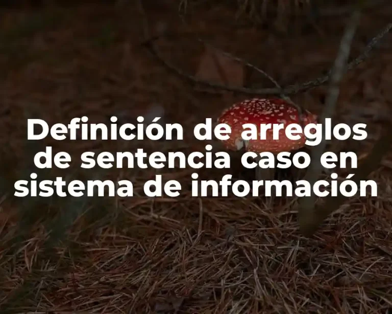 Definición de arreglos de sentencia caso en sistema de información