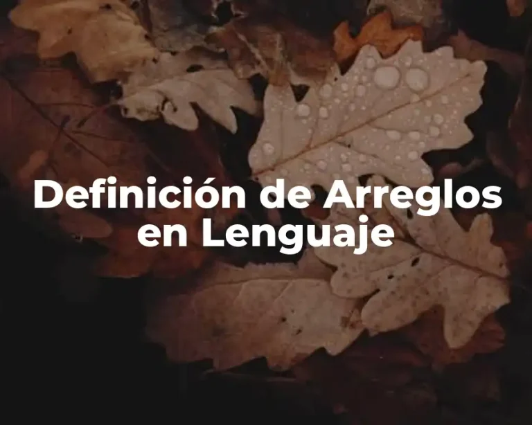 Definición de Arreglos en Lenguaje
