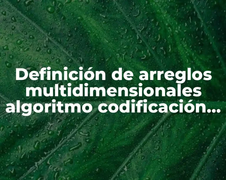 Definición de arreglos multidimensionales algoritmo codificación multiplicación