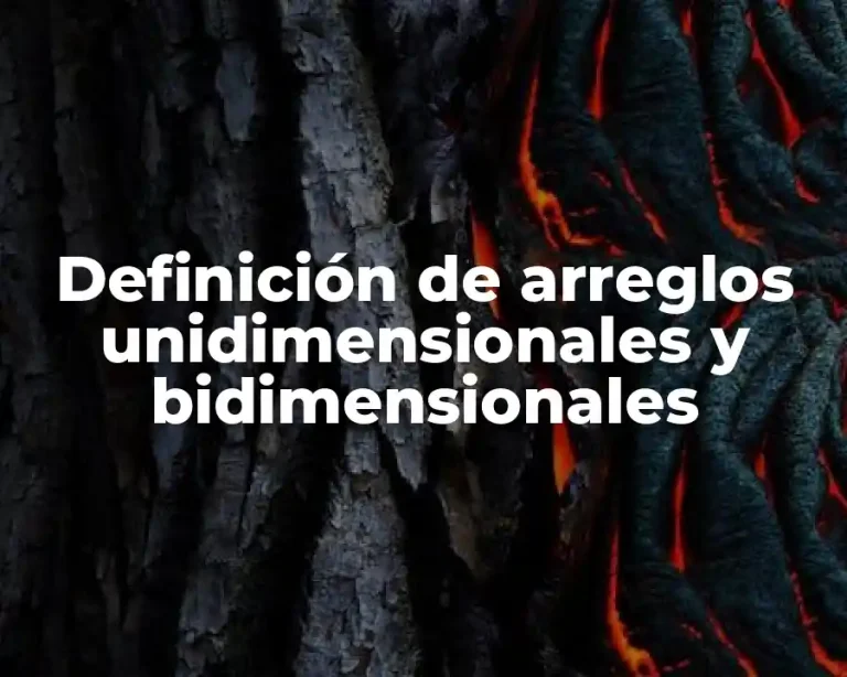 Definición de arreglos unidimensionales y bidimensionales
