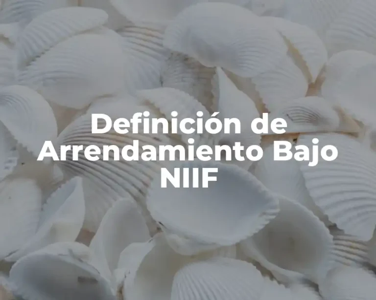 Definición de Arrendamiento Bajo NIIF