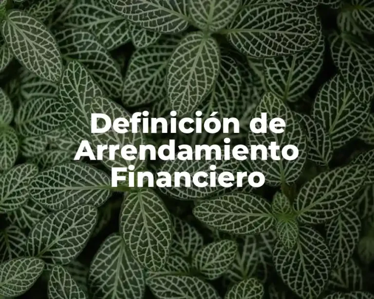 Definición de Arrendamiento Financiero