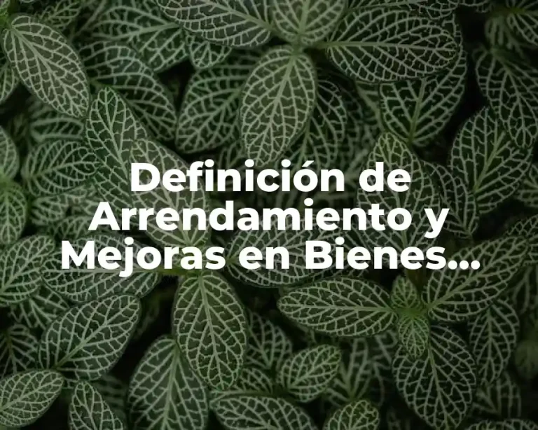 Definición de Arrendamiento y Mejoras en Bienes Arrendados