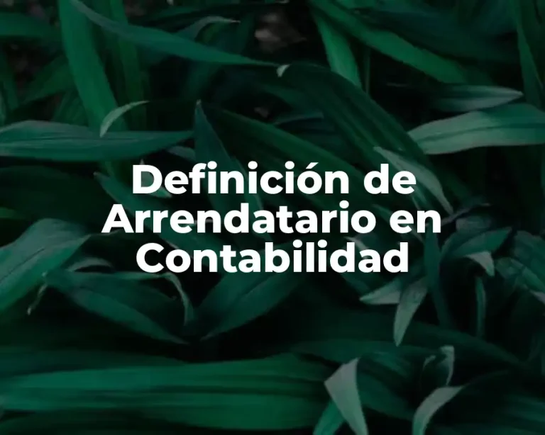 Definición de Arrendatario en Contabilidad