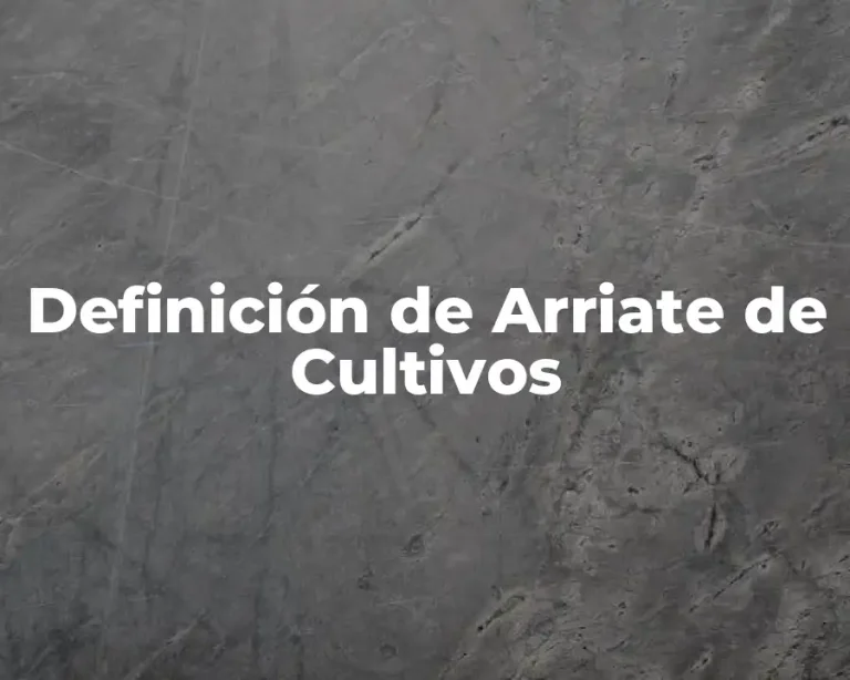 Definición de Arriate de Cultivos