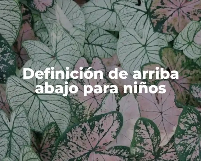 Definición de arriba abajo para niños