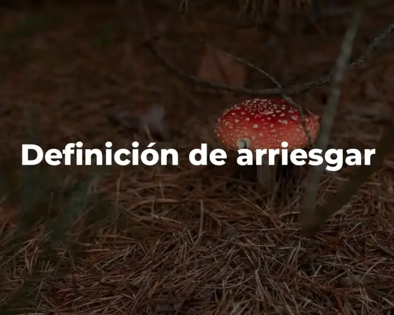 Definición de arriesgar