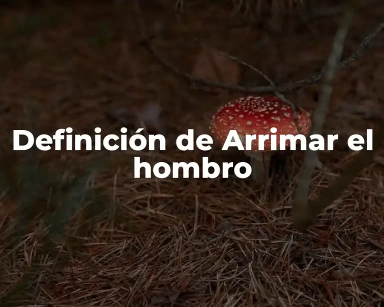 Definición de Arrimar el hombro