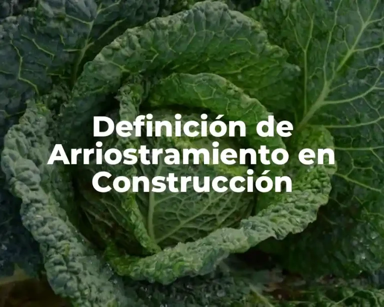 Definición de Arriostramiento en Construcción