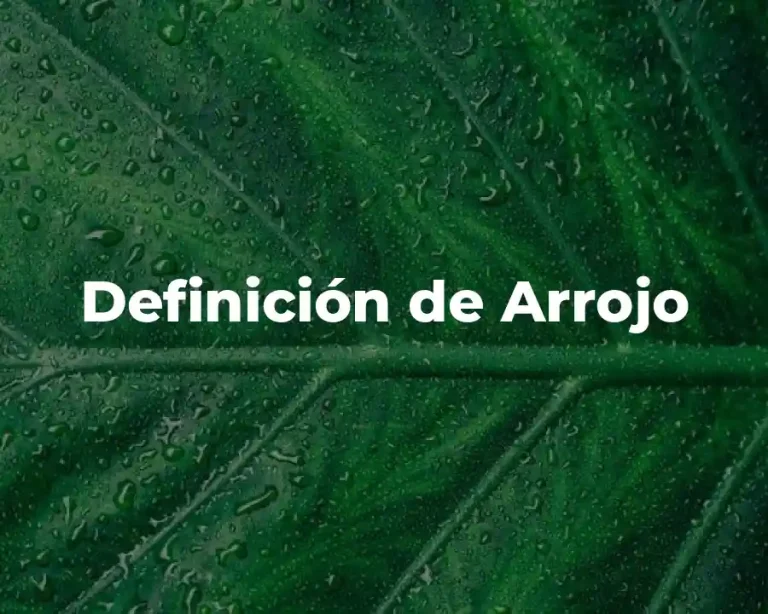 Definición de Arrojo