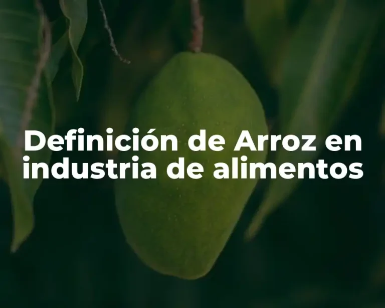Definición de Arroz en industria de alimentos