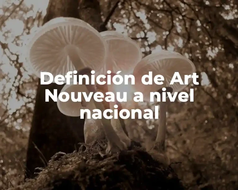 Definición de Art Nouveau a nivel nacional