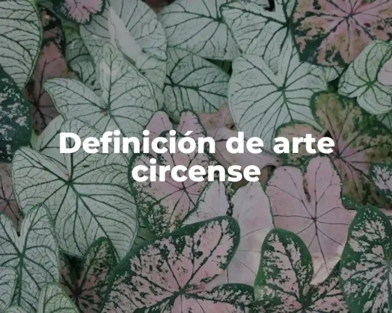 Definición de arte circense
