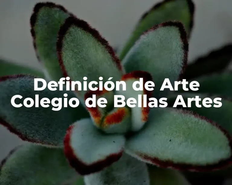Definición de Arte Colegio de Bellas Artes
