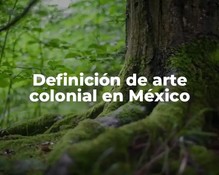Definición de arte colonial en México
