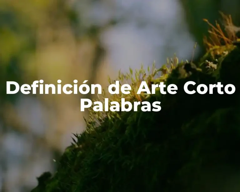 Definición de Arte Corto Palabras