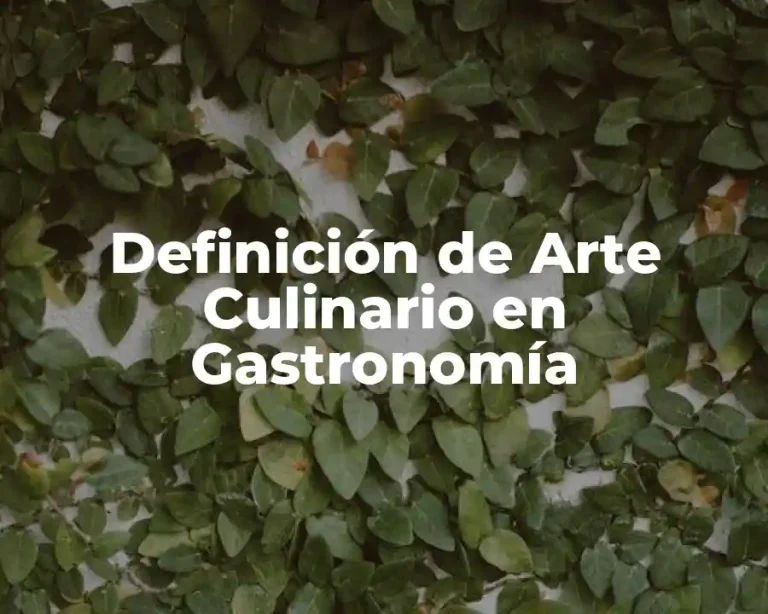 Definición de Arte Culinario en Gastronomía