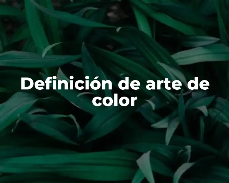 Definición de arte de color