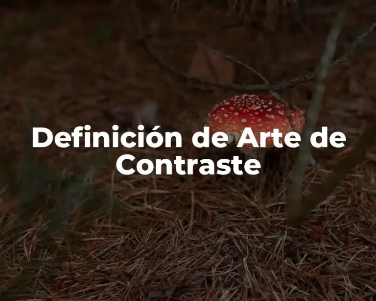 Definición de Arte de Contraste