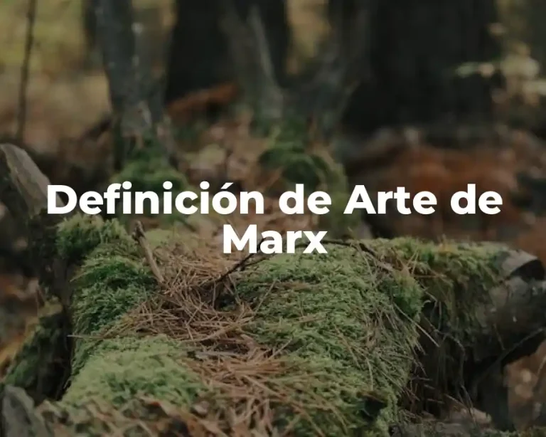 Definición de Arte de Marx