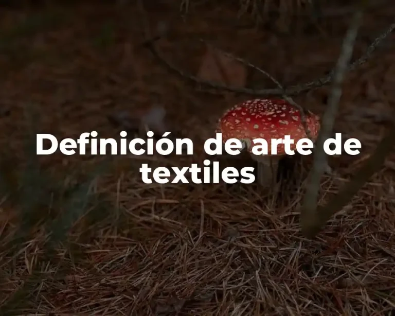 Definición de arte de textiles