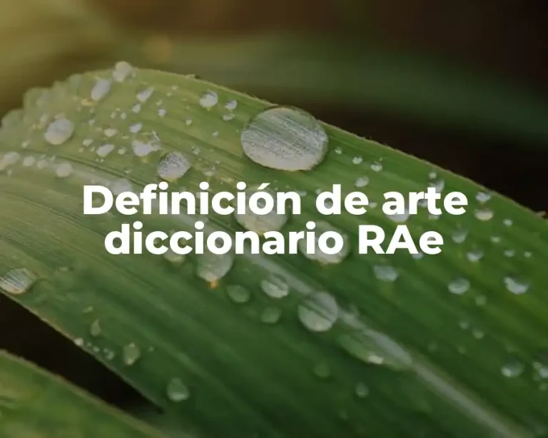 Definición de arte diccionario RAe