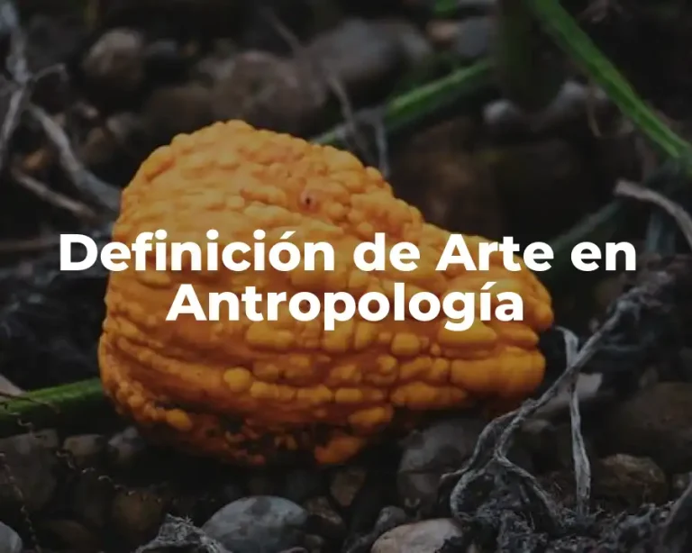 Definición de Arte en Antropología