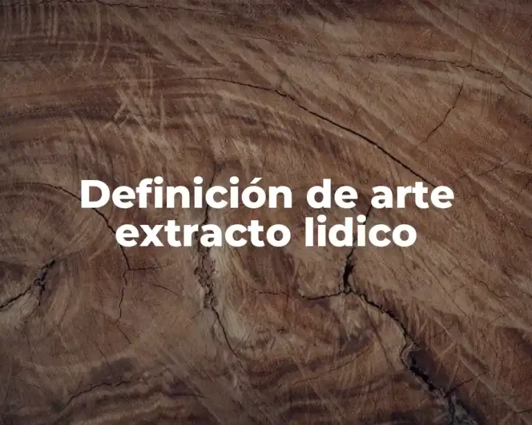 Definición de arte extracto lidico