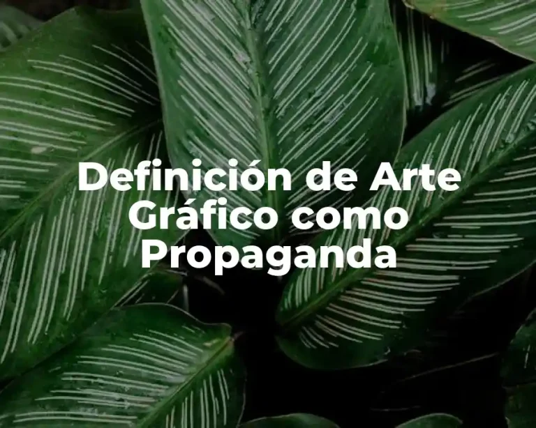 Definición de Arte Gráfico como Propaganda
