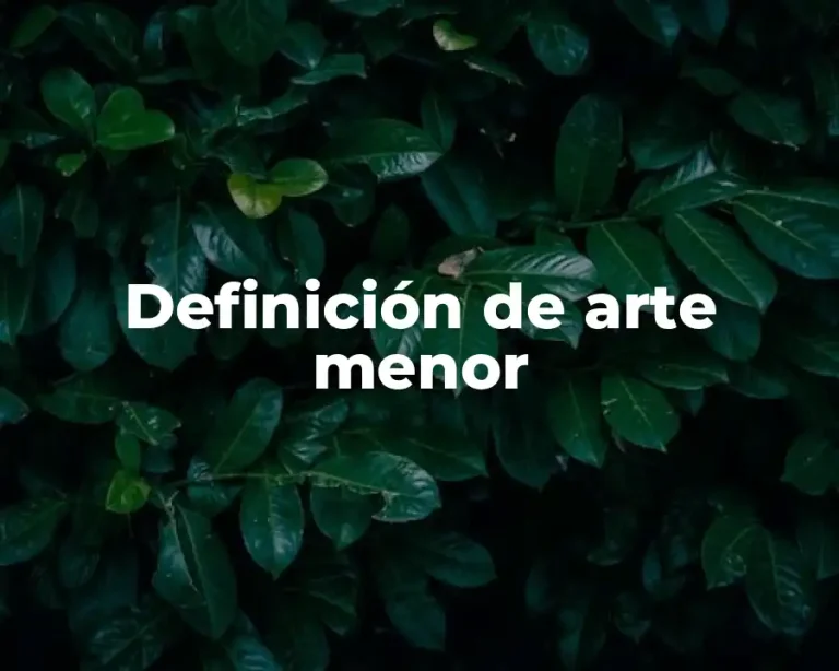 Definición de arte menor