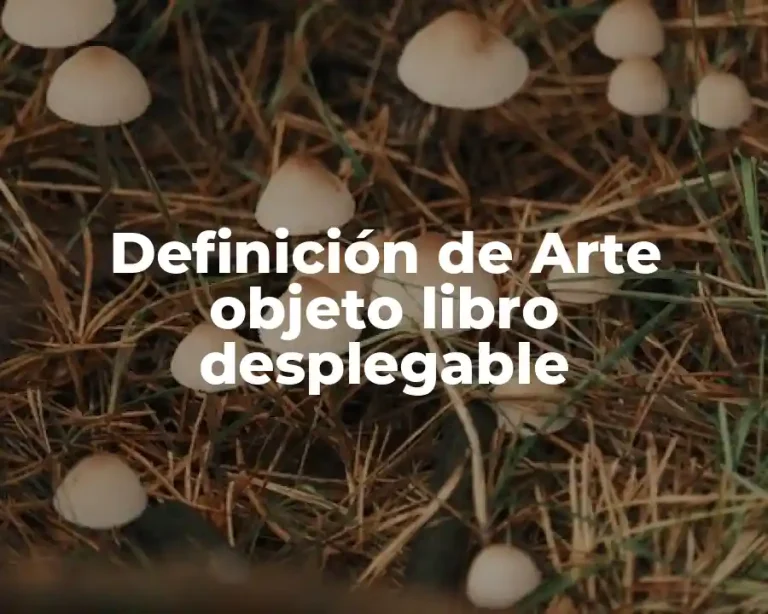 Definición de Arte objeto libro desplegable