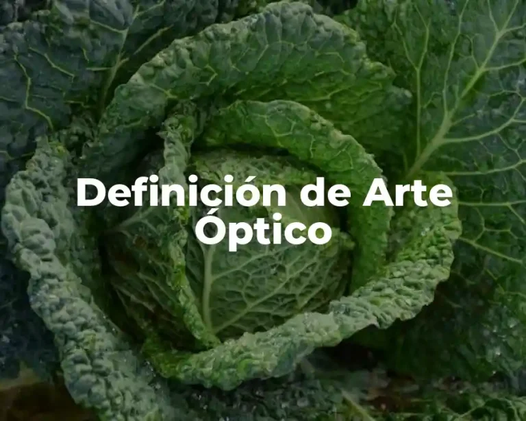 Definición de Arte Óptico