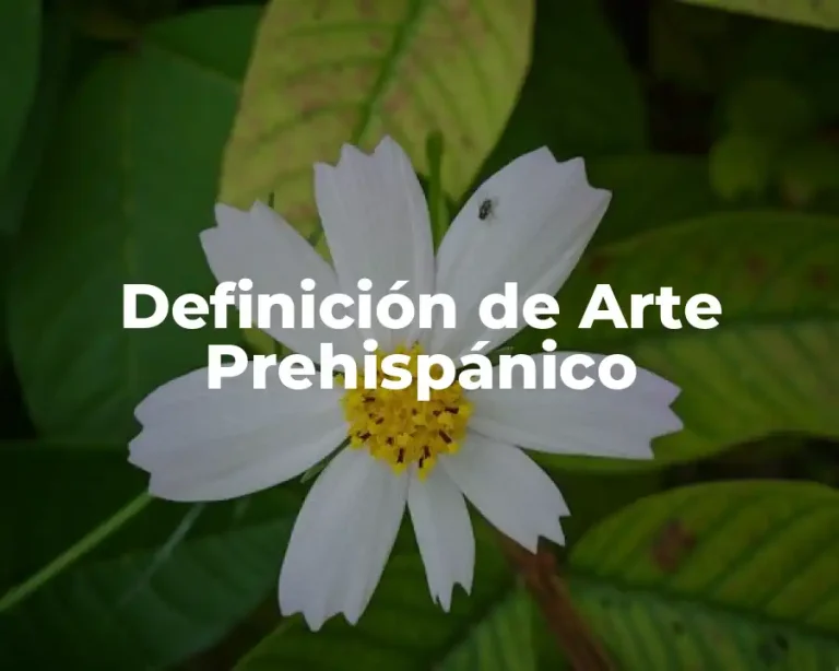 Definición de Arte Prehispánico