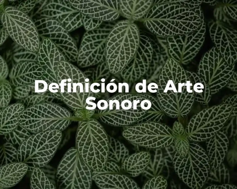 Definición de Arte Sonoro