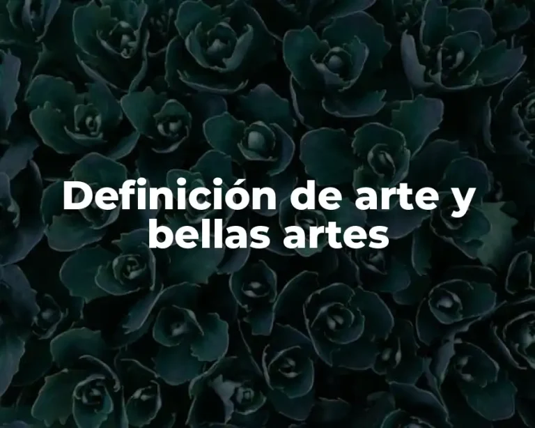 Definición de arte y bellas artes
