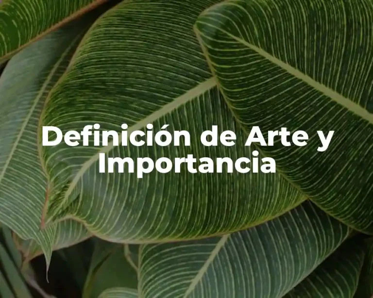 Definición de Arte y Importancia