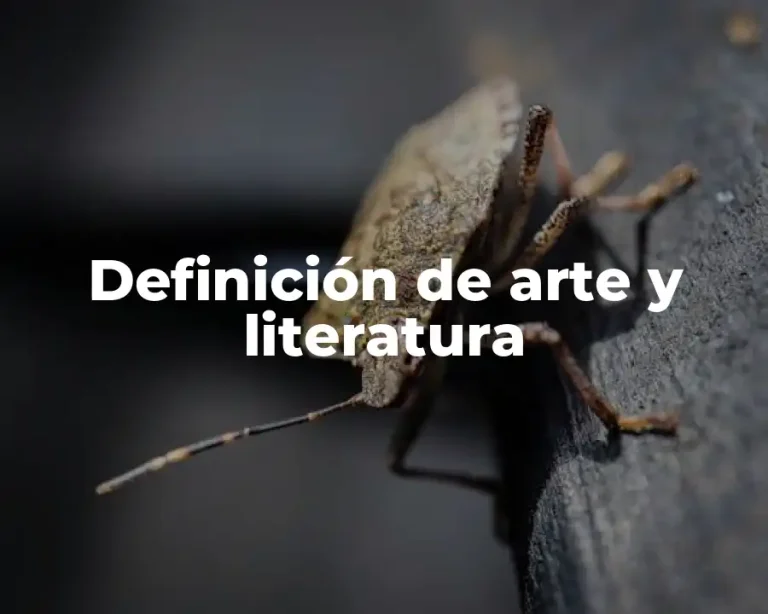 Definición de arte y literatura