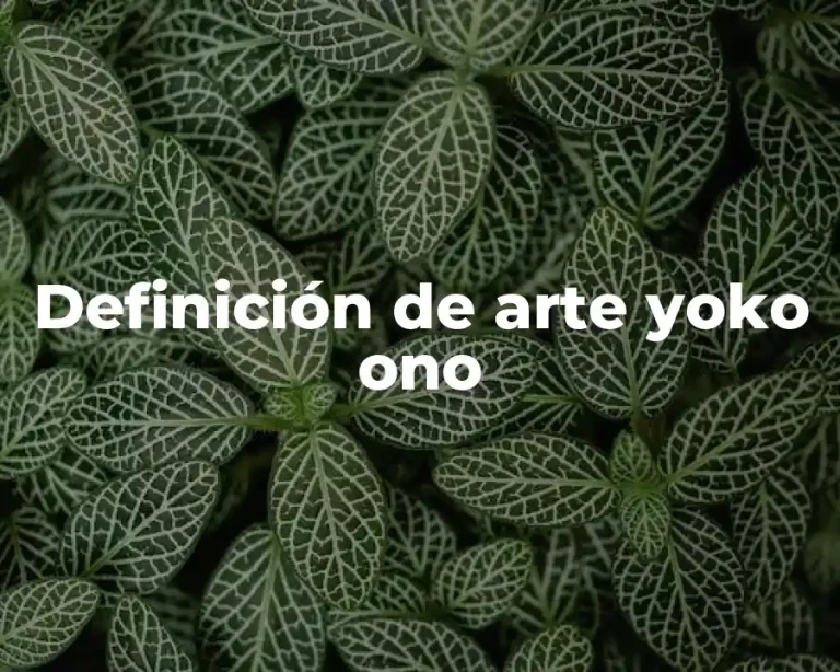 Definición de arte yoko ono