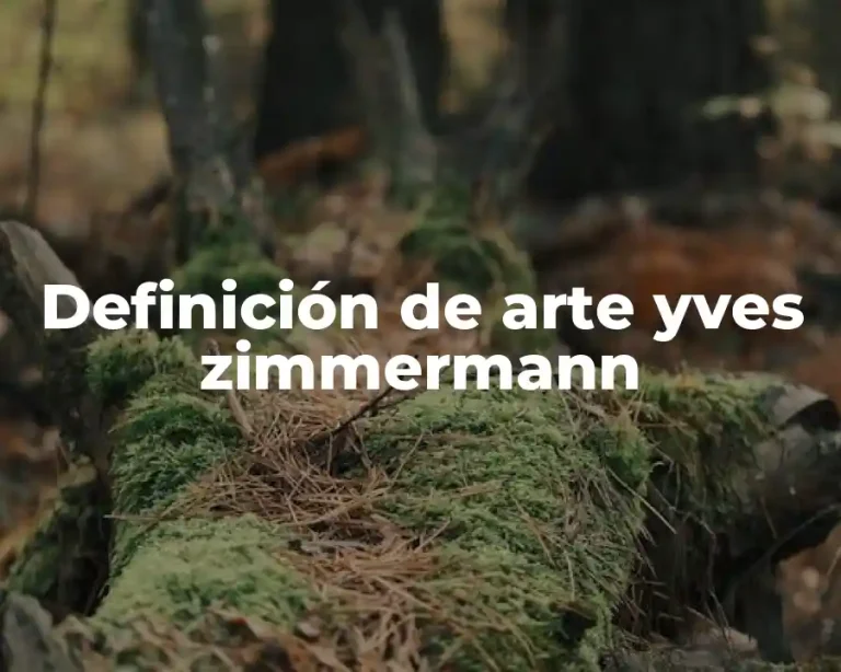 Definición de arte yves zimmermann