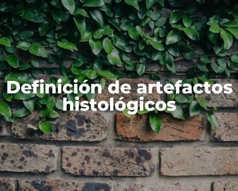 Definición de artefactos histológicos