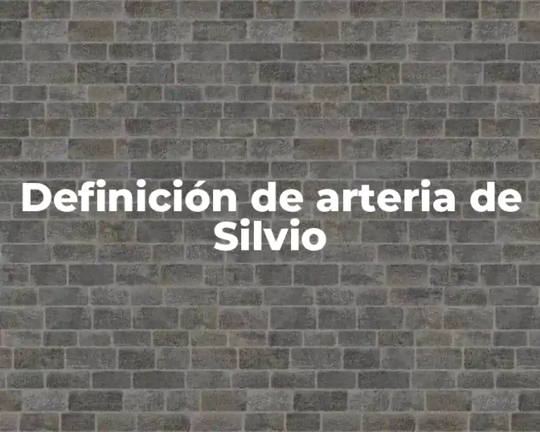 Definición de arteria de Silvio