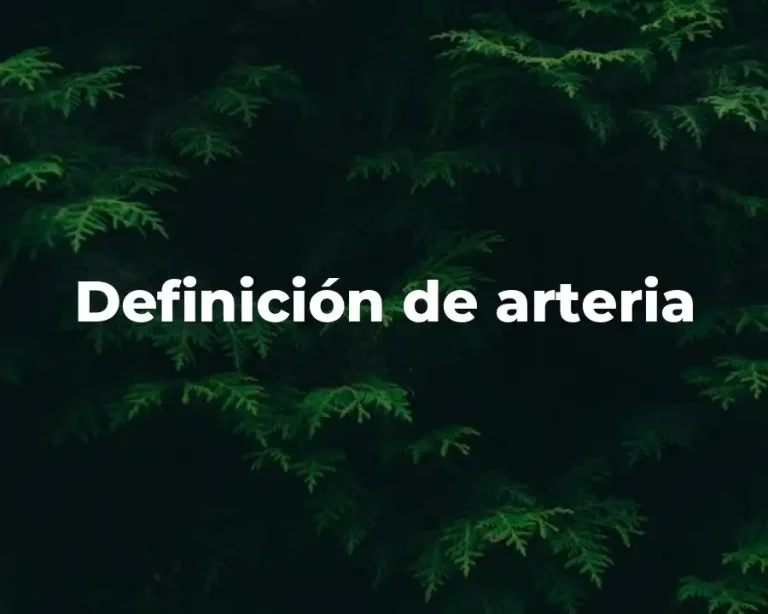 Definición de arteria