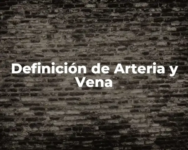 Definición de Arteria y Vena