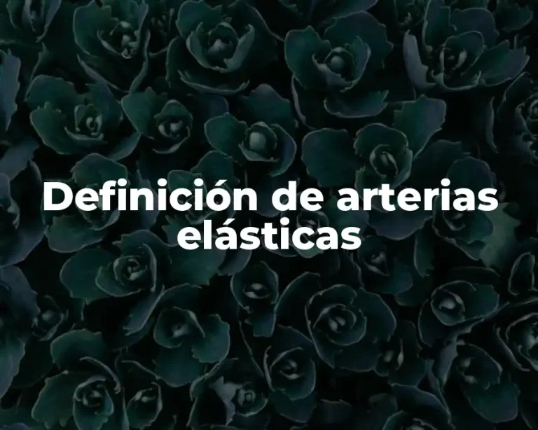 Definición de arterias elásticas