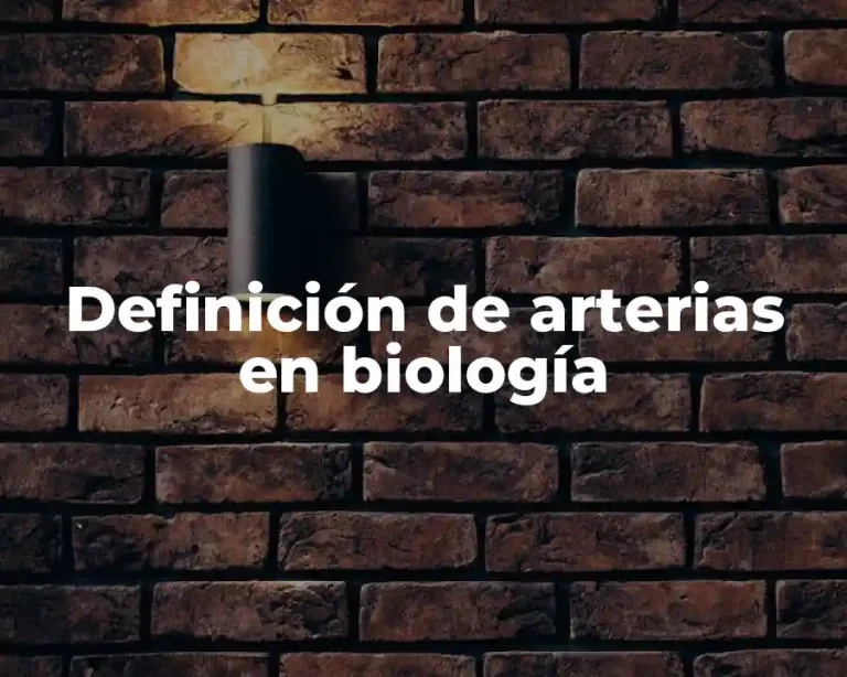 Definición de arterias en biología