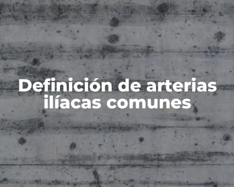 Definición de arterias ilíacas comunes