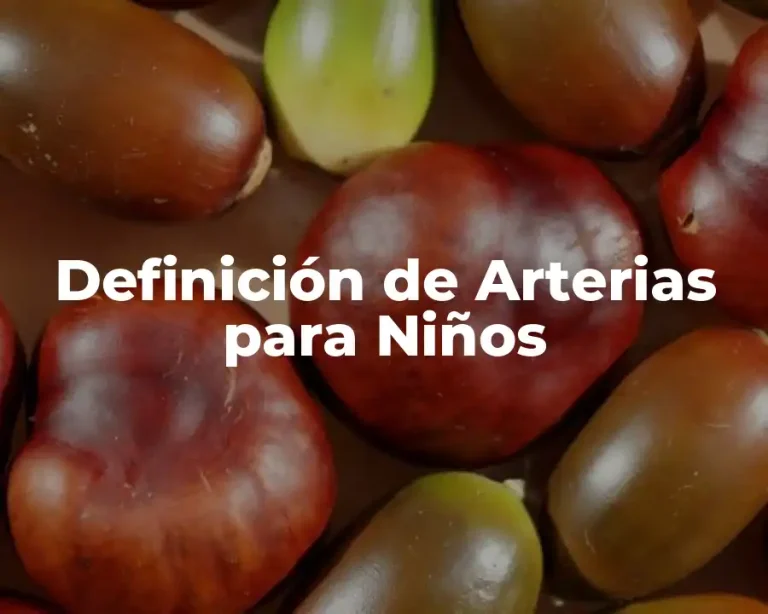Definición de Arterias para Niños