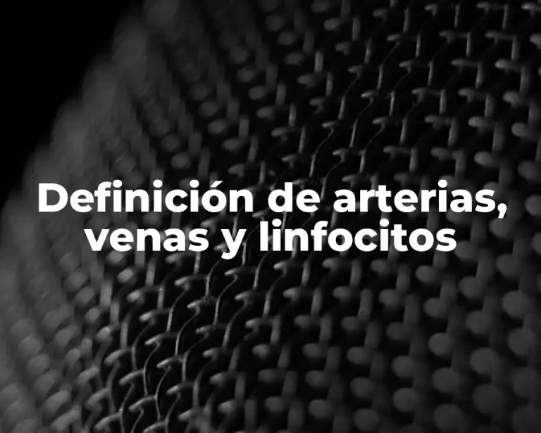 Definición de arterias, venas y linfocitos