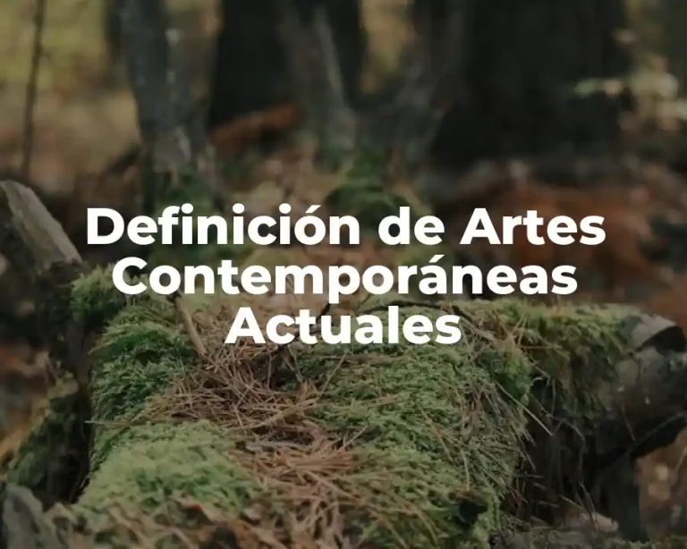 Definición de Artes Contemporáneas Actuales